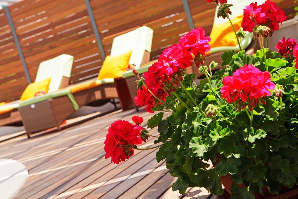 Apartments Diana - New Heated Pool Bol Kültér fotó